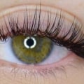 Should i get classic or hybrid lashes?