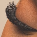 Do you need a license to do lashes in louisiana?